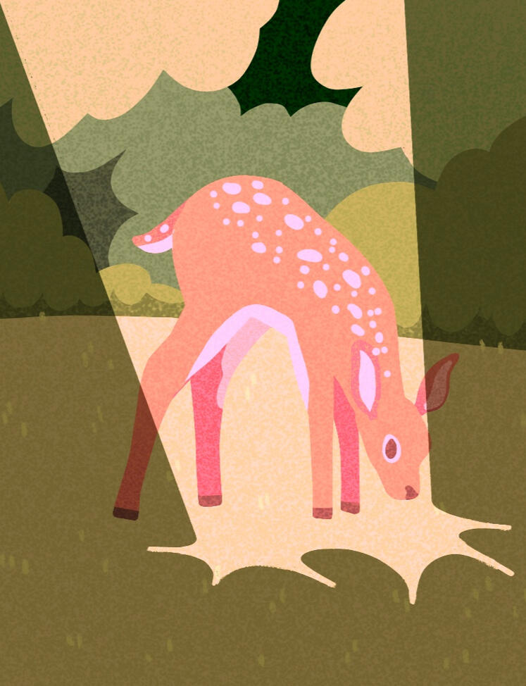 Doe
